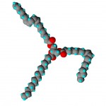 Ein Molekül Fett, etwa aus Olivenöl: Eine zentrale Glycerineinheit mit je einem Molekül Palmitin-, Öl- und Linolsäure.